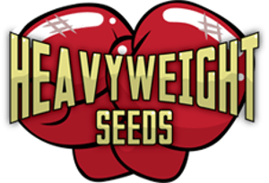heavyweight seeds